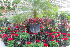 dscn6594_33015884974_o