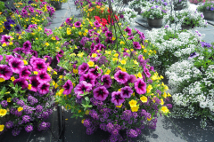dscn6843_33046253833_o