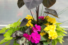 dscn6937_33859560235_o