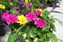 dscn6971_33475226480_o